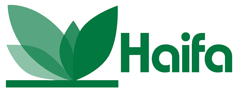 Haifa